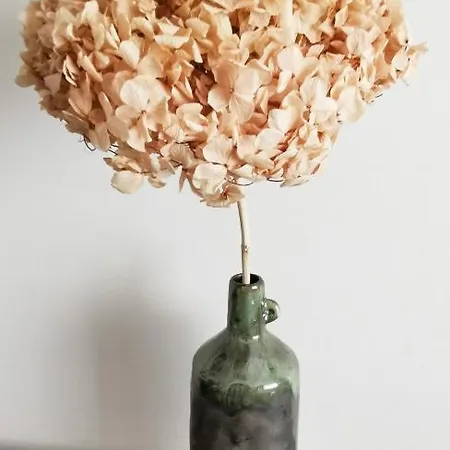 Apartman De La Nef D'or - Elegant Et Lumineux